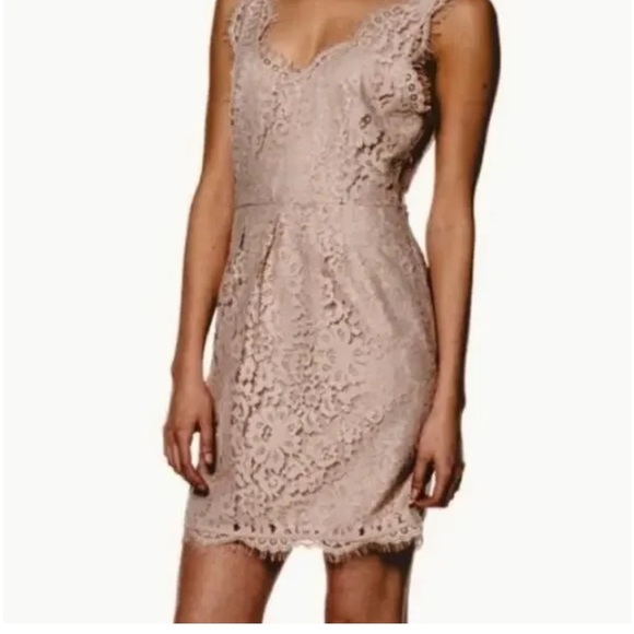 Joie Rori Sleeveless All Lace Fit & Flare Dress Taupe size Small - Picture 1 of 12